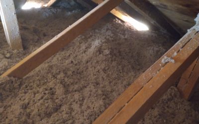 Call Us For Your Attic Clean Up