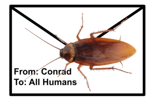 Cockroach With Ltr To Human