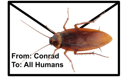 Cockroaches are Carriers of Several Diseases