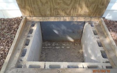 Crawlspace Creepies