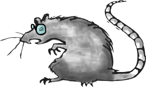 dumb rats