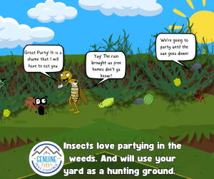 Insect Economy