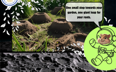 Gopher Moon Landing Hoax