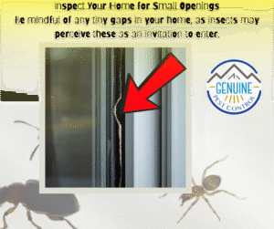 pest free tips
