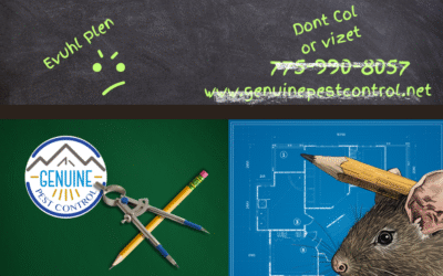 The Importance of Sealing Your Home from Pests Like Rodents