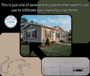 Manufactured Home Openings