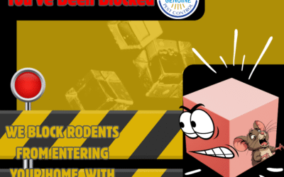 How to Keep Rats Off Your Property