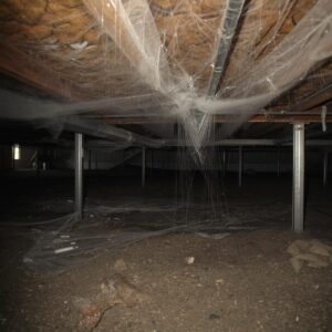 crawlspace