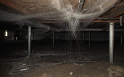 Your Home’s Crawlspace
